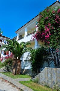 ein weißes Gebäude mit rosa Blumen und einer Palme in der Unterkunft Ifigenia Hotel in Skiathos-Stadt