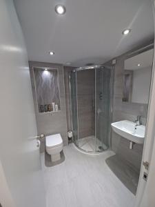 a bathroom with a shower and a toilet and a sink at Pound Orchard Bed and Breakfast in Petersfield