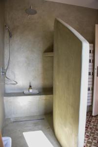 un bagno con doccia nell'angolo di una camera di Mas Gardane a Pernes-les-Fontaines