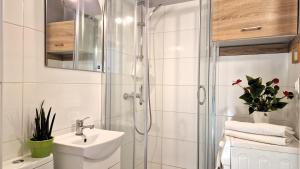 W łazience znajduje się prysznic i umywalka. w obiekcie Przystań Bałtyk Apartment w Gdańsku