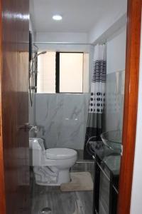 a bathroom with a toilet and a sink at New Apartment in Historic City Center in Cusco