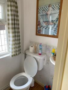 a bathroom with a white toilet and a sink at Barn Owl Cottage, The Welsh Reindeer Retreat, Ystradfach Farm , Llandyfaelog, Carmarthen , SA17 5NY in Carmarthen