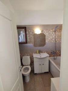 uma casa de banho com um WC, um lavatório e uma banheira em Casa Barnova em Vişan