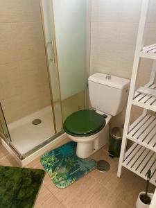 ein Badezimmer mit einer Dusche und einem WC mit grünem Deckel in der Unterkunft Apartment Laura in Puerto Rico with ocean view free WiFi and Nespresso coffee in Puerto Rico de Gran Canaria