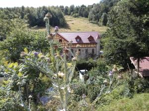 Vonkajšia záhrada v ubytovaní Zbójna Debra