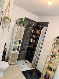 ein Badezimmer mit einem Spiegel neben einem WC in der Unterkunft Superbe Appartement idéalement situé in Mérignac