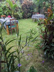 kua garden cottage في Utende: حديقة بها طاولة وكراسي وزهور