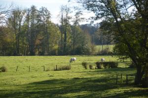 Příroda nedaleko bed and breakfast