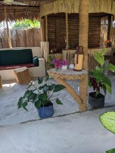 kua garden cottage في Utende: غرفة بها نباتات وطاولة وأريكة