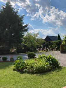 a garden with some plants in the grass at Apartament Villa Olivia in Szczebrzeszyn