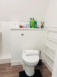 La salle de bains est pourvue de toilettes avec une étagère au-dessus. dans l'établissement Cozy Studio in Maidstone Town Centre, à Kent