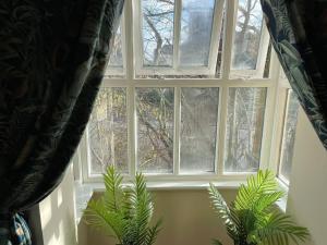 una ventana abierta con dos plantas delante de ella en 4min walk Uni of East London 1BR, en Londres