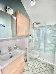 a bathroom with a sink and a toilet and a shower at Apartament Łeba Piaskowa Ostoja in Żarnowska