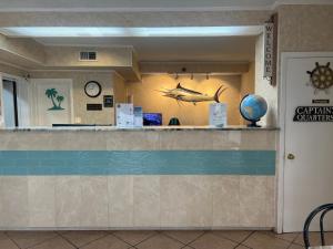 a shark on the wall of a waiting room at Hole Inn the Wall Hotel - Fort Walton Beach - Sunset Plaza - nearby Beaches & Hurlburt in Fort Walton Beach