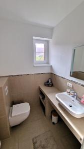 a bathroom with a sink and a toilet and a mirror at Schöne Einliegerwohnung im Fachwerkhaus in Meinersen