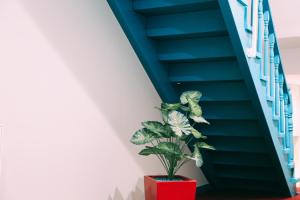 Foto dalla galleria di City Inn - Boutique Hotel Tbilisi a Tbilisi City