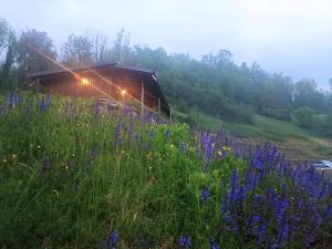 a barn in the middle of a field of flowers at Agriturismo Cascina Cornella in Cremeno
