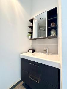 a bathroom with a sink and a mirror at LE MIDOU - Vue Rivière in Mont-de-Marsan