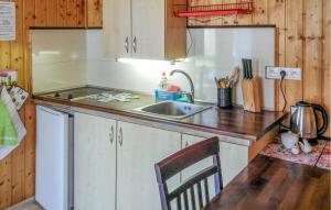 kuchnia ze zlewem i blatem w obiekcie 2 Bedroom Amazing Home In Wicie w Wiciu