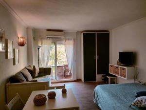 uma sala de estar com uma cama e um sofá em Aparthotel Minerva em Benalmádena