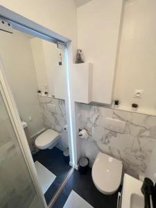 ein Badezimmer mit 2 WCs und einem Waschbecken in der Unterkunft Magnifique Studio à 30 min de La Défense in Conflans-Sainte-Honorine