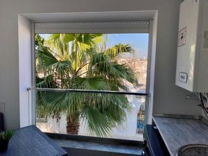 a palm tree is seen through a window at 3 pieces lumineux avec balcon in Sidi Bou Saïd