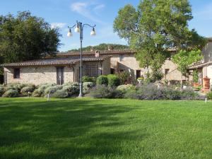 A garden outside La Fonte Di Montebuono