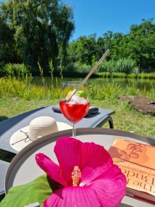 eine rosa Blume auf einem Tisch mit einem Drink in der Unterkunft Cooles Lofthouse mit Pool in Kiskunmajsa