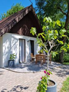 eine Terrasse eines Hauses mit einem Baum und einem Tisch in der Unterkunft Cooles Lofthouse mit Pool in Kiskunmajsa