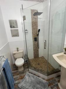 a bathroom with a shower and a toilet and a sink at Sunrise Manor 2-Bedroom APT#2 in Cherryfield