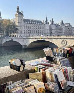 uma pilha de livros sentados numa parede ao lado de uma ponte em Superbe T3 Terrasse Coeur de Paris historique em Paris