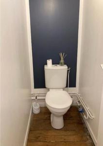 a bathroom with a white toilet in a room at Logement cosy en hyper-centre in Limoges