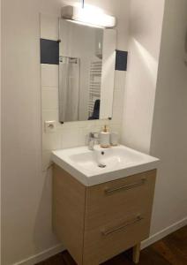 a bathroom with a sink and a mirror at Logement cosy en hyper-centre in Limoges