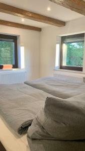 a bedroom with a large bed with two windows at Ferienhaus Allgäu Flughafen Memmingen in Benningen