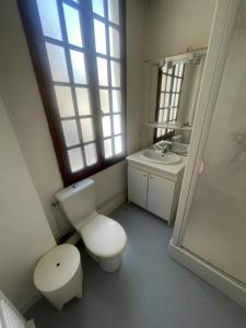 een badkamer met een toilet en een wastafel bij Joli studio en cœur de ville in Limoges