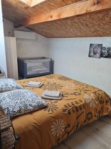 a bedroom with a bed and a tv at Maison classée 2 étoiles proche du lac du Salagou in Clermont-lʼHérault