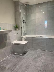 a bathroom with a toilet and a tub and a shower at Two bedroom, modern spacious apartment. in Brentwood