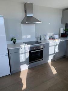 Een keuken of kitchenette bij Two bedroom, modern spacious apartment.