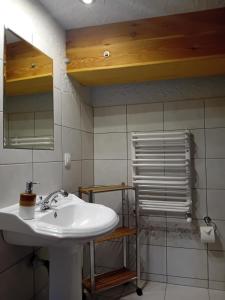 a bathroom with a white sink and a mirror at Rębiszów 50 in Rebiszów