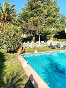 une piscine dans une cour avec un palmier dans l'établissement Villa au calme à Sanary, climatisée, avec piscine, à Sanary-sur-Mer