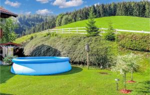 a blue tub in a yard with a hill at Stunning Apartment In Radstadt With 1 Bedrooms And Wifi in Radstadt