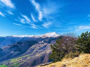 Gallery image of Residence Giardino in Montecreto