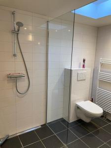 een badkamer met een toilet en een glazen douche bij Vakantiewoning Ooievaar in Harlingen
