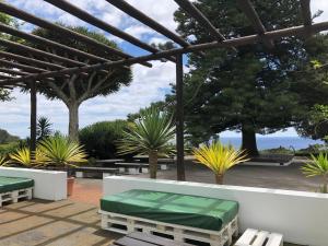 a patio with benches and palm trees and the ocean at WelcomeBuddy - Casa do Monte - Garden & Sea sight in Caloura