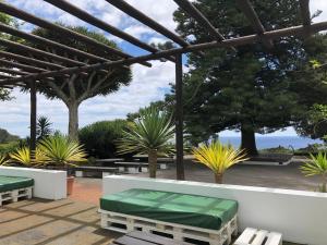 カロウラにあるWelcomeBuddy - Casa do Monte - Garden & Sea sightのベンチとヤシの木と海を望むパティオ