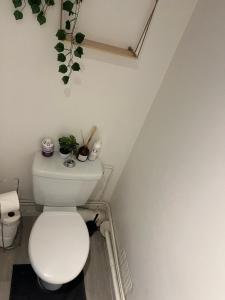 La salle de bains est pourvue de toilettes avec des plantes sur le mur. dans l'établissement Paronamique villejean - proche métro, à Rennes