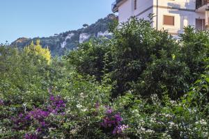 a garden of flowers in front of a building at Gold Luxury Flat x4 in Sorrento