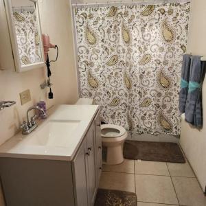 a bathroom with a toilet and a shower curtain at Fruit Tree Castle in Kingshill
