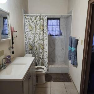 a bathroom with a shower with a toilet and a sink at Fruit Tree Castle in Kingshill