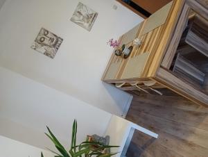 een kamer met een houten kast en een plant bij Stella's Monteurswohnungen in Crimmitschau